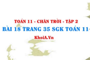 Bài 18 trang 35 Toán 11 Tập 2 Chân trời sáng tạo